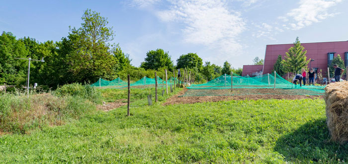 Visite virtuelle des parcelles pédagogiques